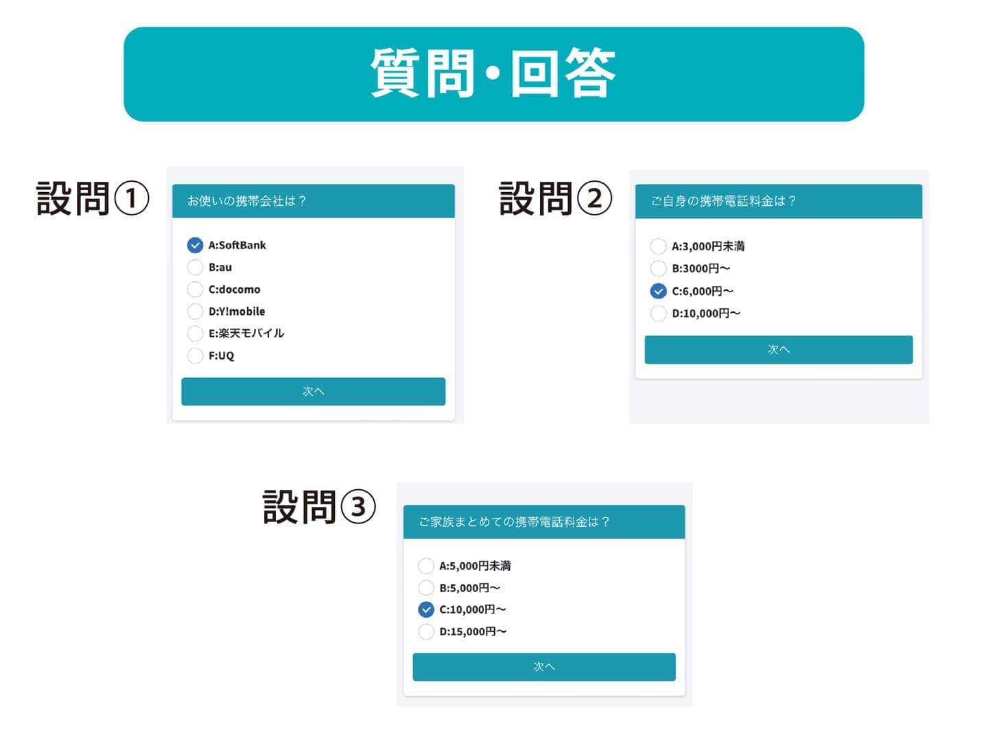 アンケート概要1