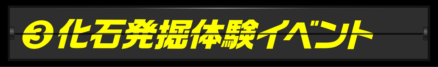 ランキング４位