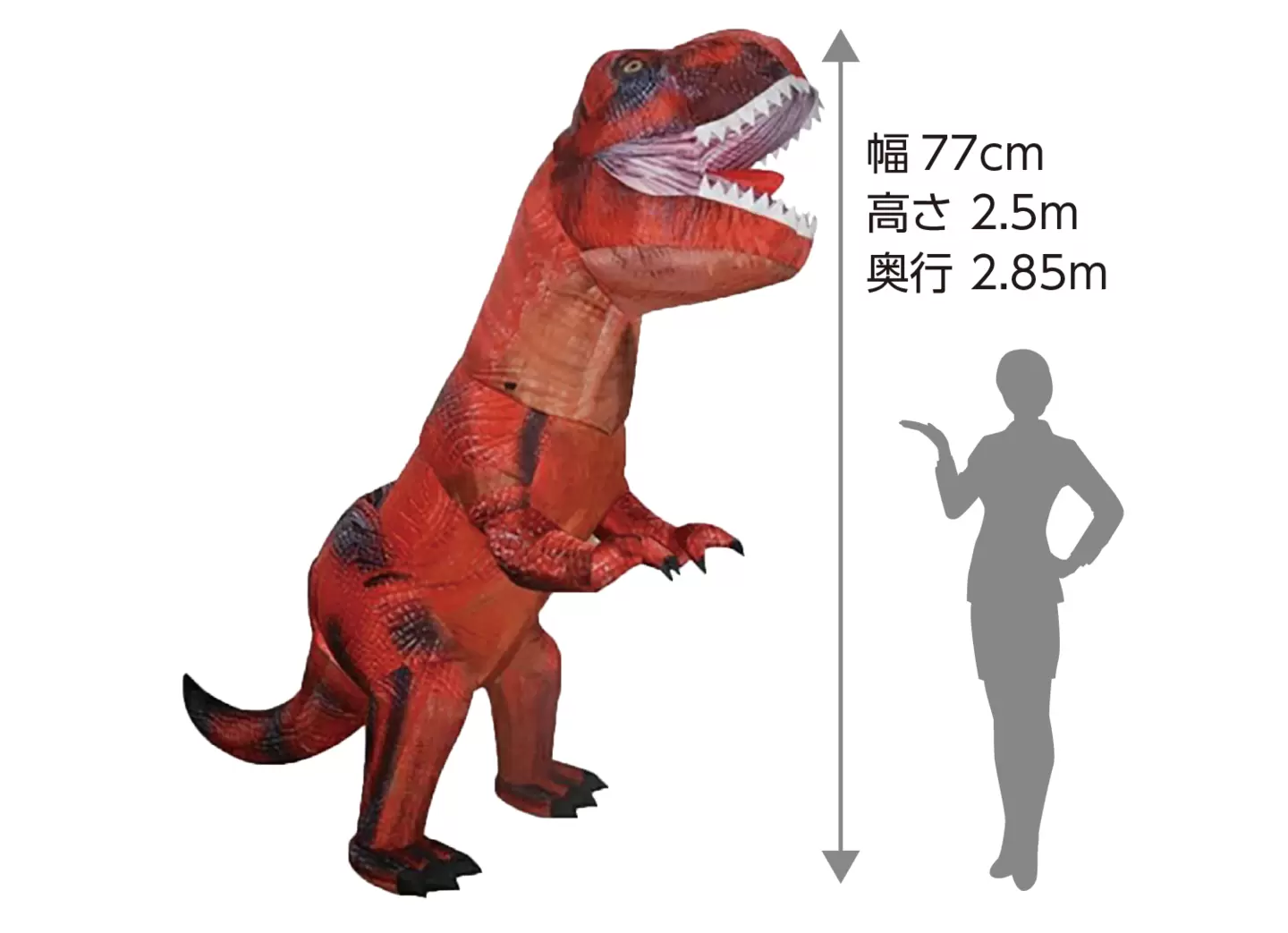 エアーブロウT-REX　設置イメージ