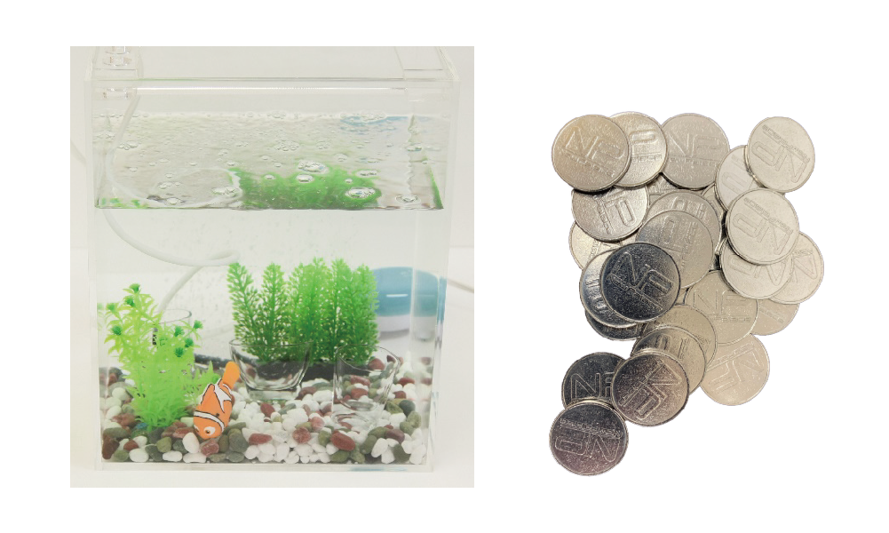 水中コイン落としイベント 説明３