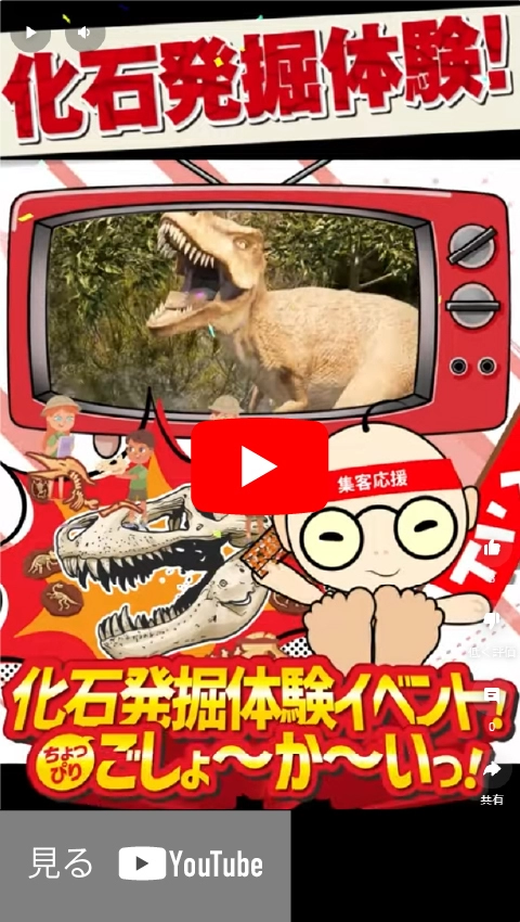 化石発掘体験イベント ショート動画サムネイル