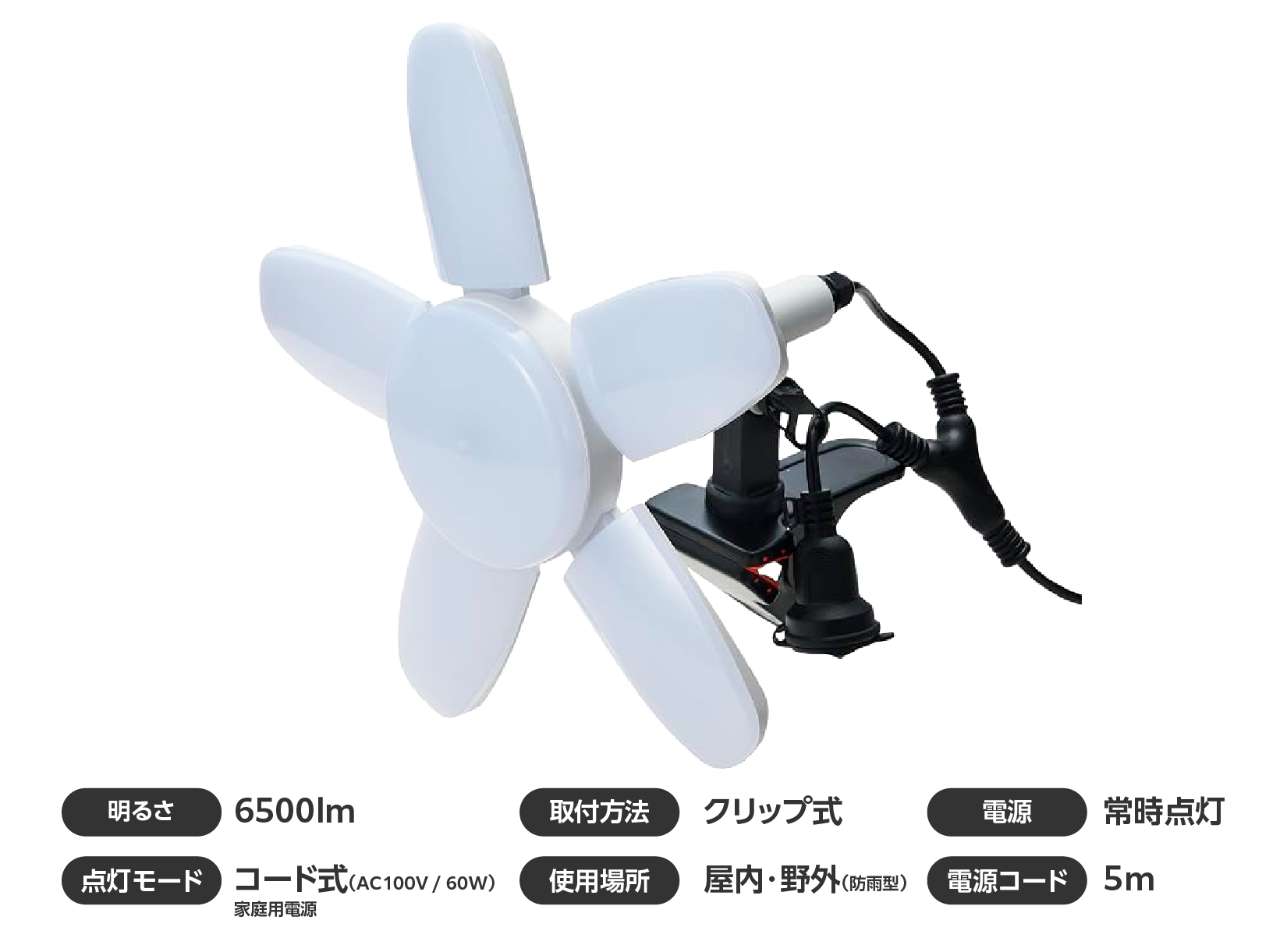 LEDクリップライトレンタル イメージ画像